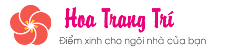 Hoa Trang Trí
